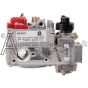 6003-NAT Dexen natural gas millivolt valve