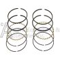 piston rings in 610-1301 repair kit