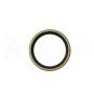 Top view of oil seal