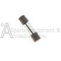 70-027-0100 CIRCUIT BOARD FUSE SINGLE 8 AMP 125V
