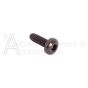 Screw Special 1/4-20x3/4 Torx T30 Panhead,Taptite II Black Thread Forming