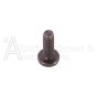 Screw Special 1/4-20x3/4 Torx T30 Panhead,Taptite II Black Thread Forming