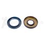 OIL SEAL KIT, COMET ZWD-K PUMP