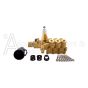 Manifold Assembly Brass with Components AAA C45 SERIES 530006, 530007, 11.6GA13 Pumps