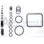 O-ring kit for C31 pump
