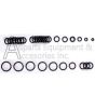O-ring kit for C31 pump