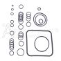 7110146 O-Ring kit for C41 pressure washer pumps
