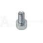 SIGHT GLASS SCREW