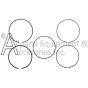 7111101 piston ring set for pressure washer pump