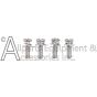 Screws for the 7116419 axle