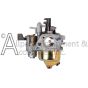 A 7117105 Carburetor for 208CC 12V engines.