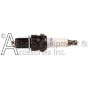 7117974 spark plug for electric start engines