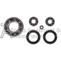 7118107 oil seal and ball bearing kit