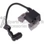7118189 ignition module replacement