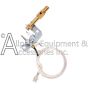 Duel fuel fireplace pilot assembly