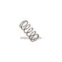 AR1080091 spring
