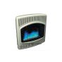 DESA BLUE FLAME VENT FREE HEATER