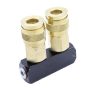 DUAL COUPLING MANIFOLD