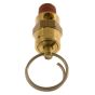 Safety Valve 175 PSI Blow Out 1/8 Threads