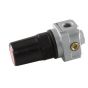 Regulator 4 Port  P1 1/4 FPT P2 1/8 F 125 PSI Max