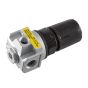 D27254 Regulator 4 Port  P1 1/4 FPT P2 1/8 F 125 PSI Max