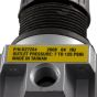 Regulator 4 Port  P1 1/4 FPT P2 1/8 F 125 PSI Max