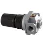 Regulator 4 Port  P1 1/4 FPT P2 1/8 F 125 PSI Max