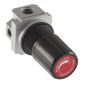 Regulator 4 Port Directional 1/4 MPT with 1/8 Gauge Ports