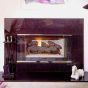 Presidential direct vent fireplace