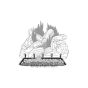 VANGUARD DIRECT VENT GAS FIREPLACE