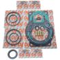 Devair Overhaul Kit OK-445 fits 445 Series Pump