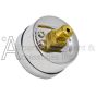 d20698 regulator gauge 