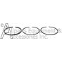 ABP-5924010 ring kit