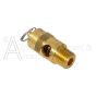 Safety valve for intercooler1/4-inch-65-psi-abp-9049020