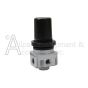 AC-0007 REGULATOR 4 PORT P1 x 1/4  P2 x 1/8 front view