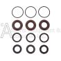 The ZX.0097 Dolly A1857 seal kit with packing and o-rings.
