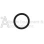 AR3700250 O ring