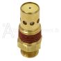 CAC-437-2 check valve 1/2NPT X 1/2 CFPT