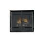 The DXV-45 fireplace model.