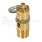 Top of E106004 Safety valve
