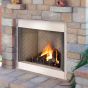 Elite Series Outdoor Gas Fireplace