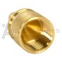 Propane cylinder fill plug