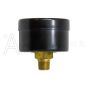 PRESSURE GAUGE