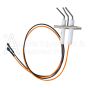 J6548 Astria Igniter and Flame Rod Assembly