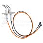 J6548 Astria Igniter and Flame Rod Assembly