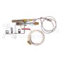 R3623 Pilot ODS Assembly for Propane Gas Vent Free Units
