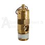 VALVE SAFETY MASS 1/4 150 PSI SVM150