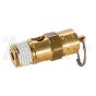 VALVE SAFETY MASS 1/4 150 PSI SVM150