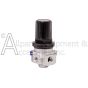 R202NG Regulator