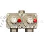 RV83FI.6.10 Duel Fuel regulator